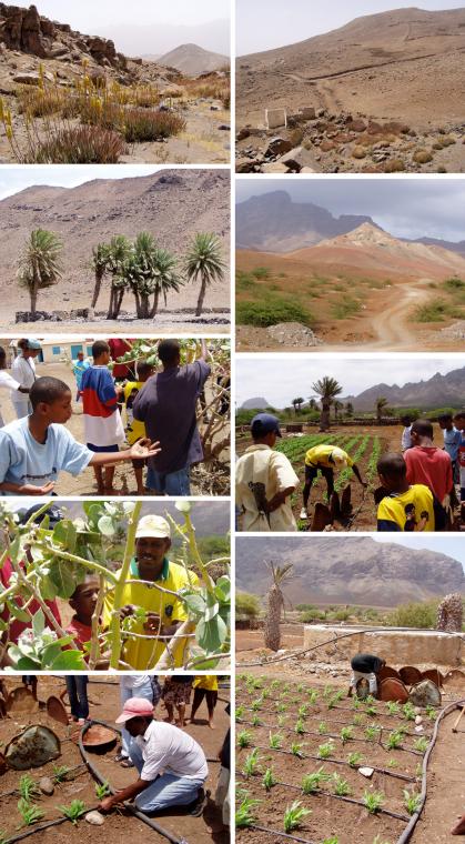 Landscapes, people tending to plants