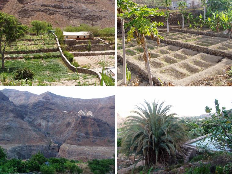 Allotments, tropical scenery