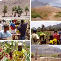 Landscapes, people tending to plants